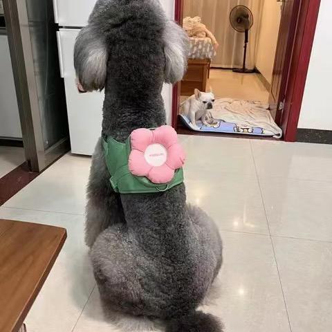 恶龙咆哮-嗷呜