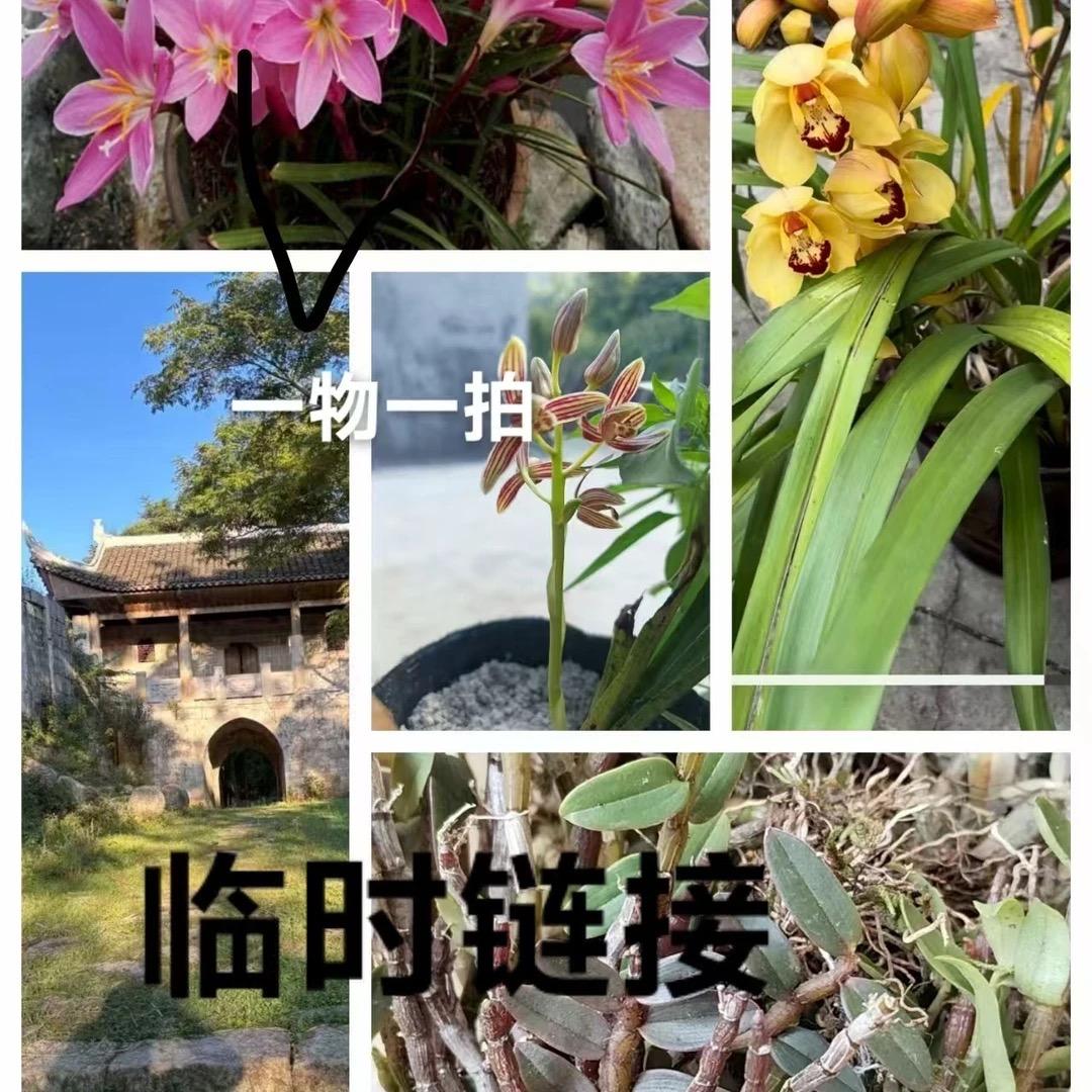 深山野踪源