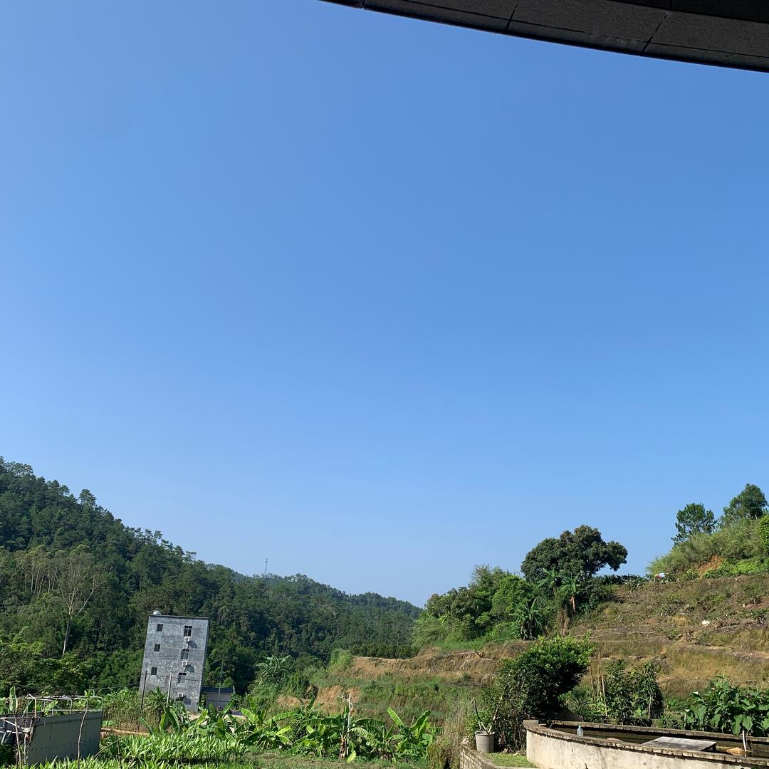 家乡水果