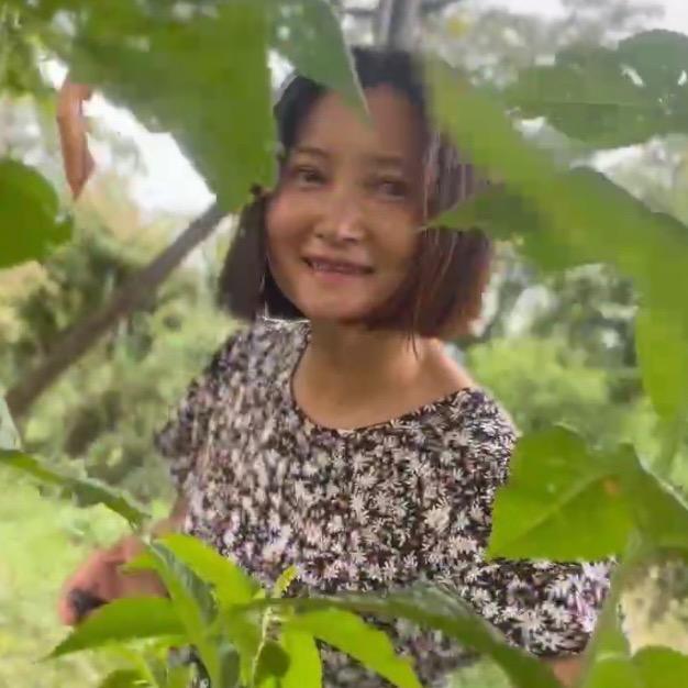 叶子爱旅行