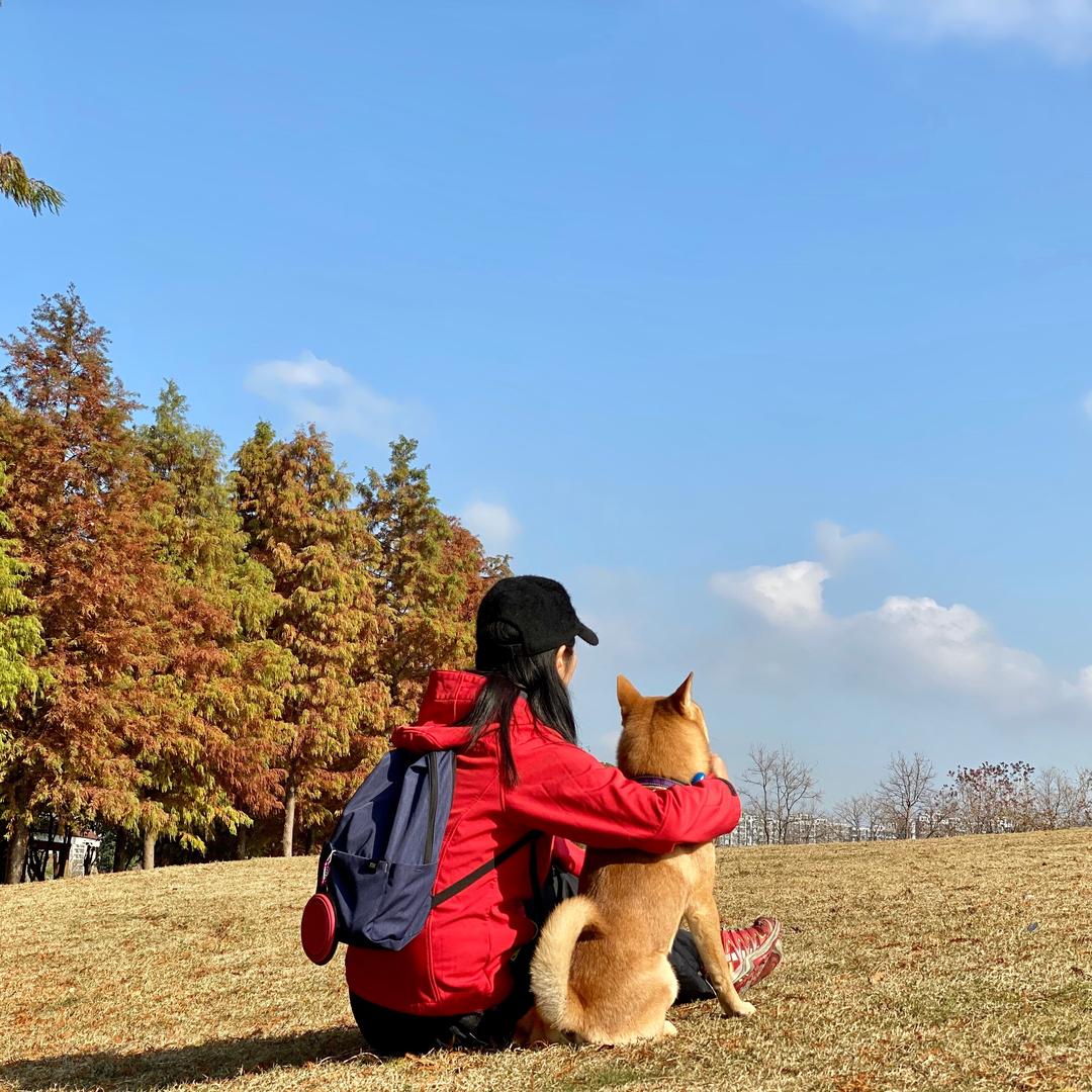 seven小王子🐶