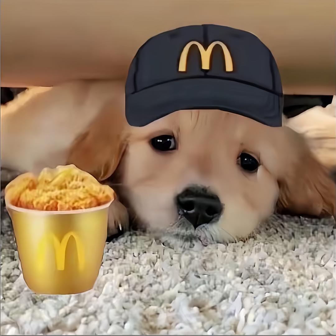 十点零四