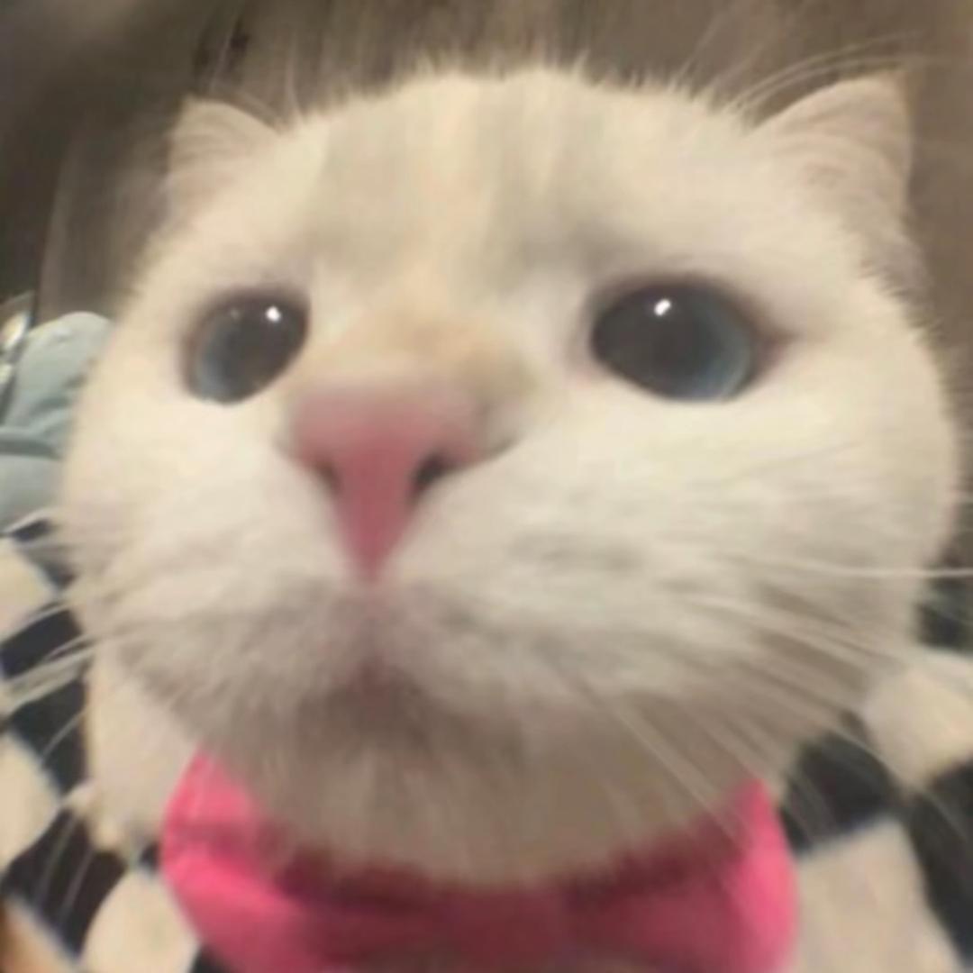 ʚ铁柱ovoɞ
