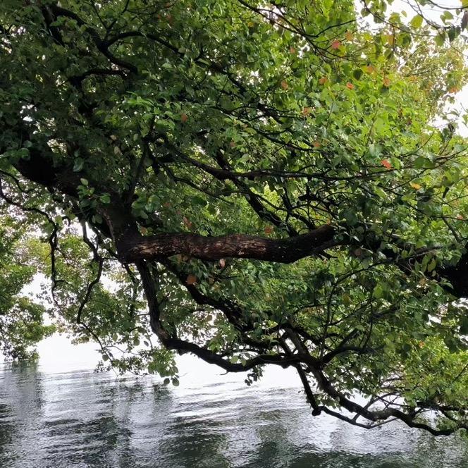 那一抹忧郁的蓝