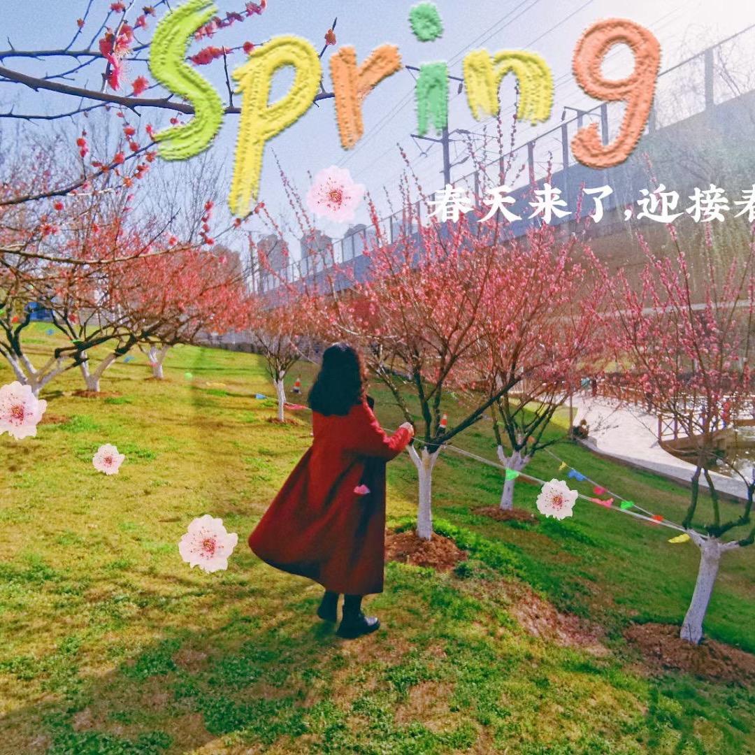 玉兔东升