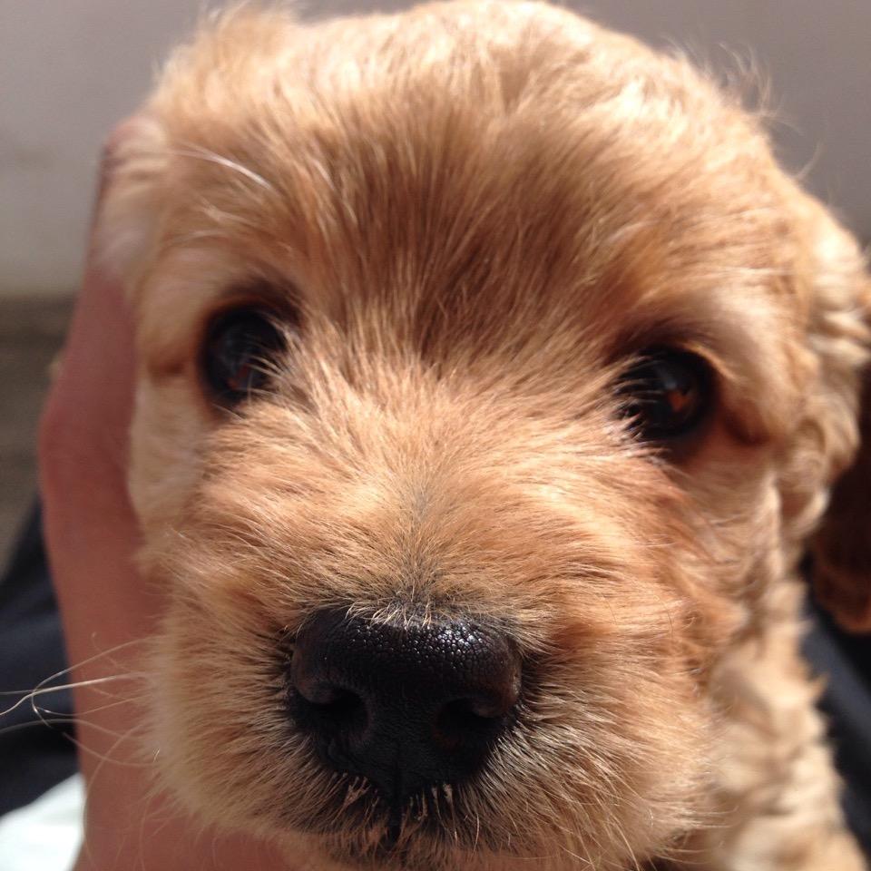 🇨🇳 ~B.Q~💰 📈