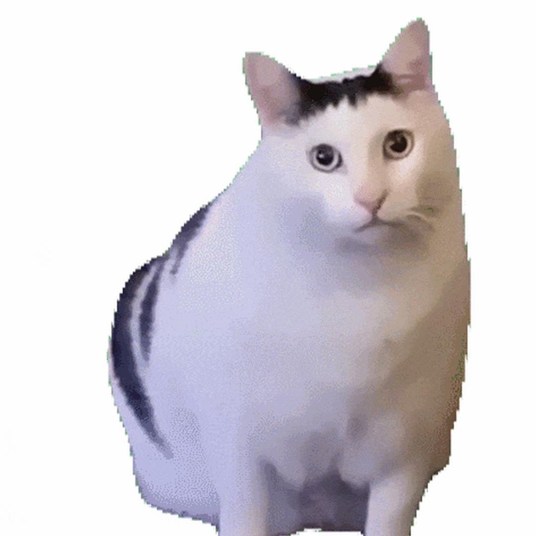 山核桃