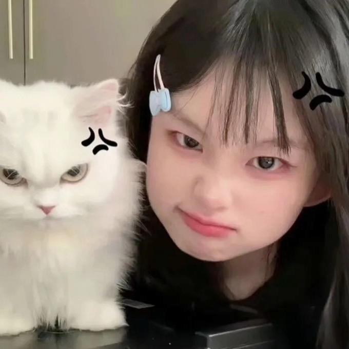 qi