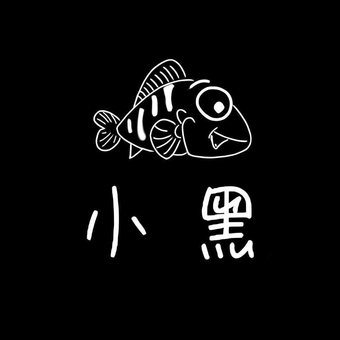 小黑玩雷龙工作室1