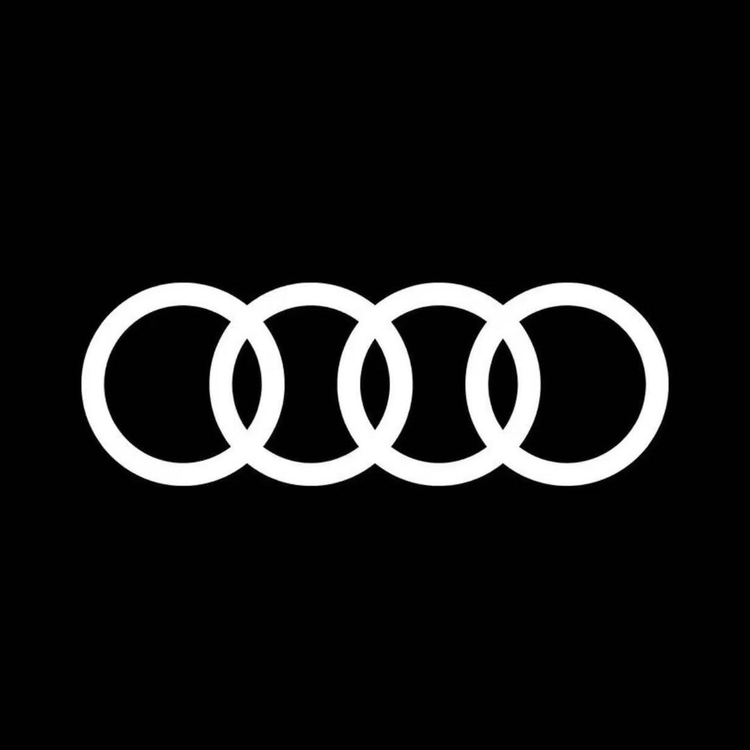 一汽奥迪绥化龙奥达新能源