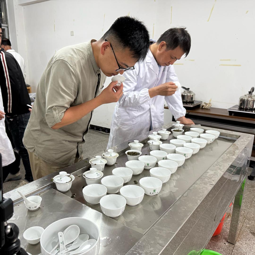 吴队斗茶