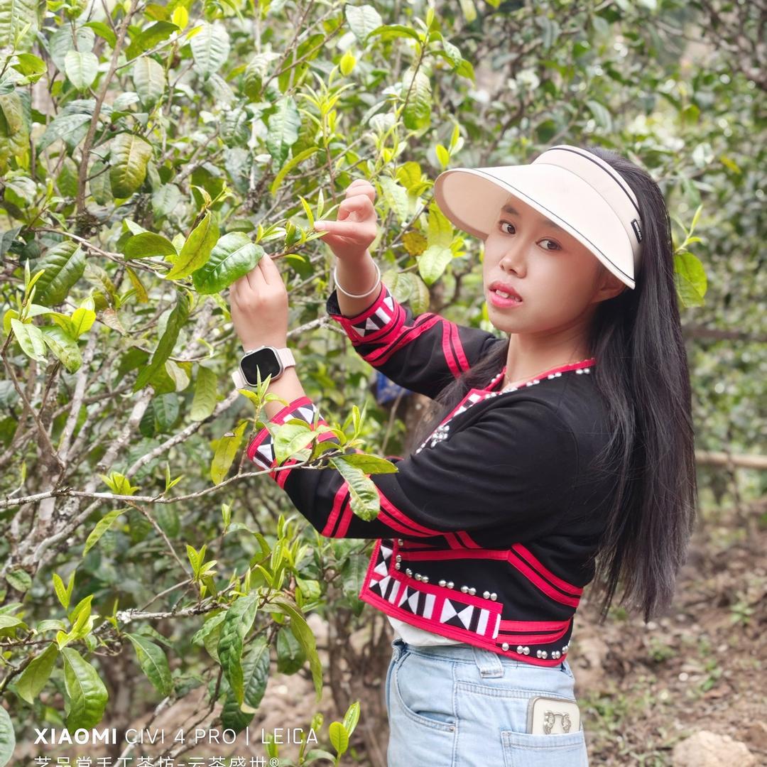 云茶盛世.茶小仙