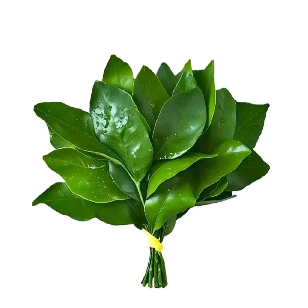 五路财神的掌上明珠