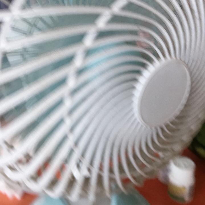 拦衣