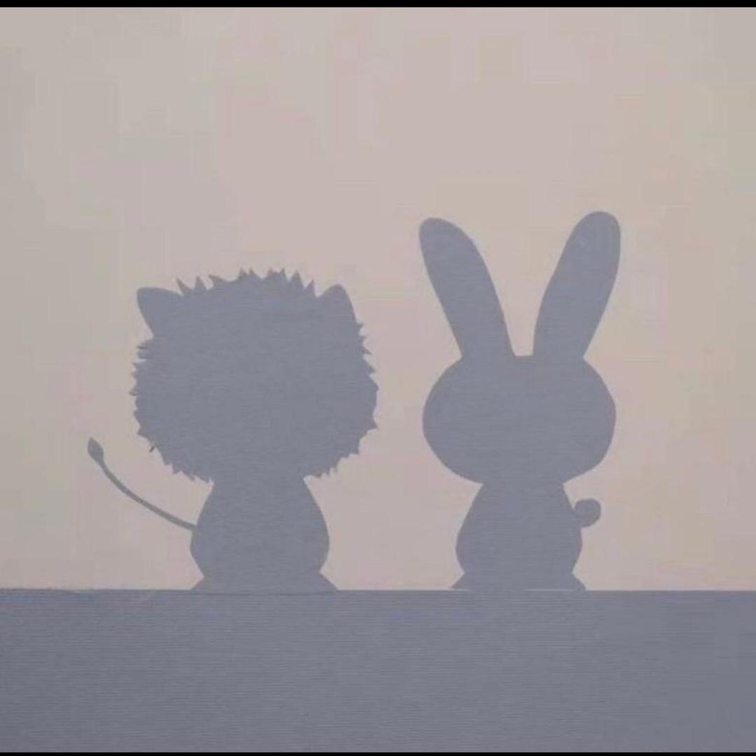 曦🦁️🐰