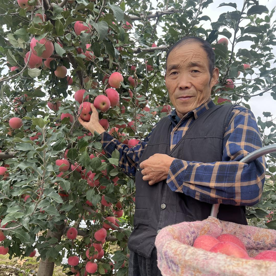 田园香助农—优选农产品
