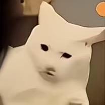 熬夜看见太奶