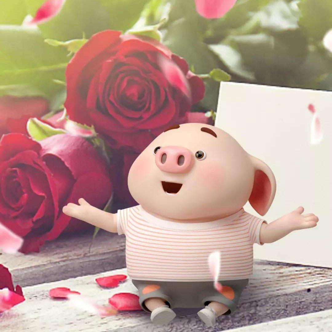 💞创造未来💞