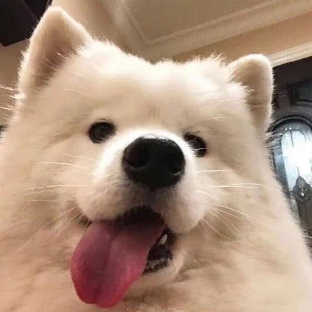 卷卷
