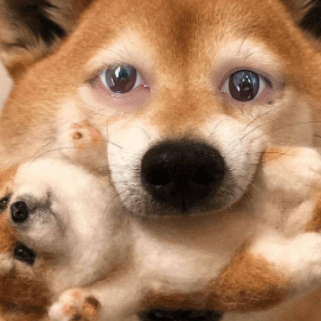 房屋出售