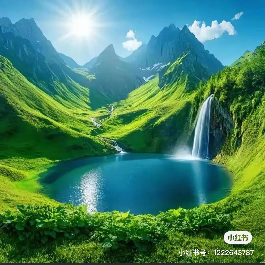 专业坦克网除锈