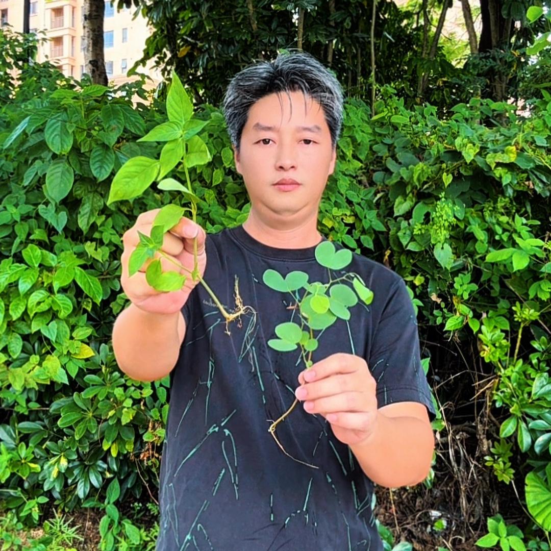东哥精选