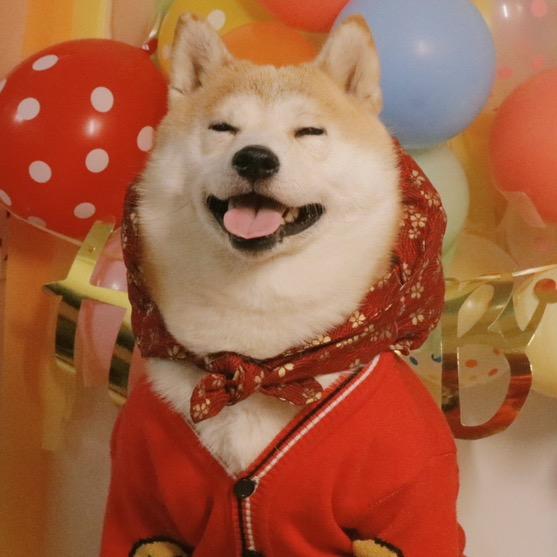 发大柴