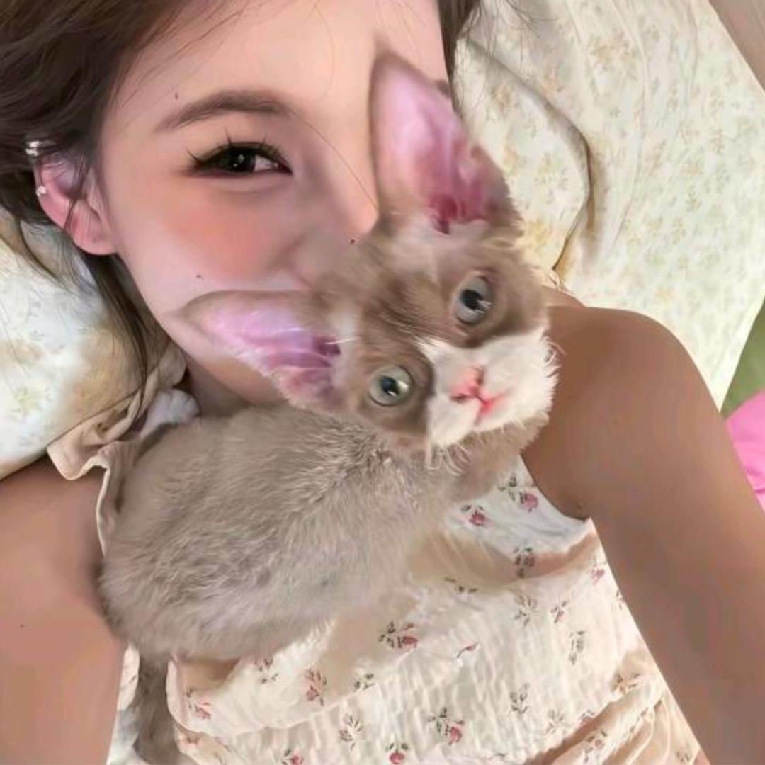 AprToveC •͈ᴗ⁃͈