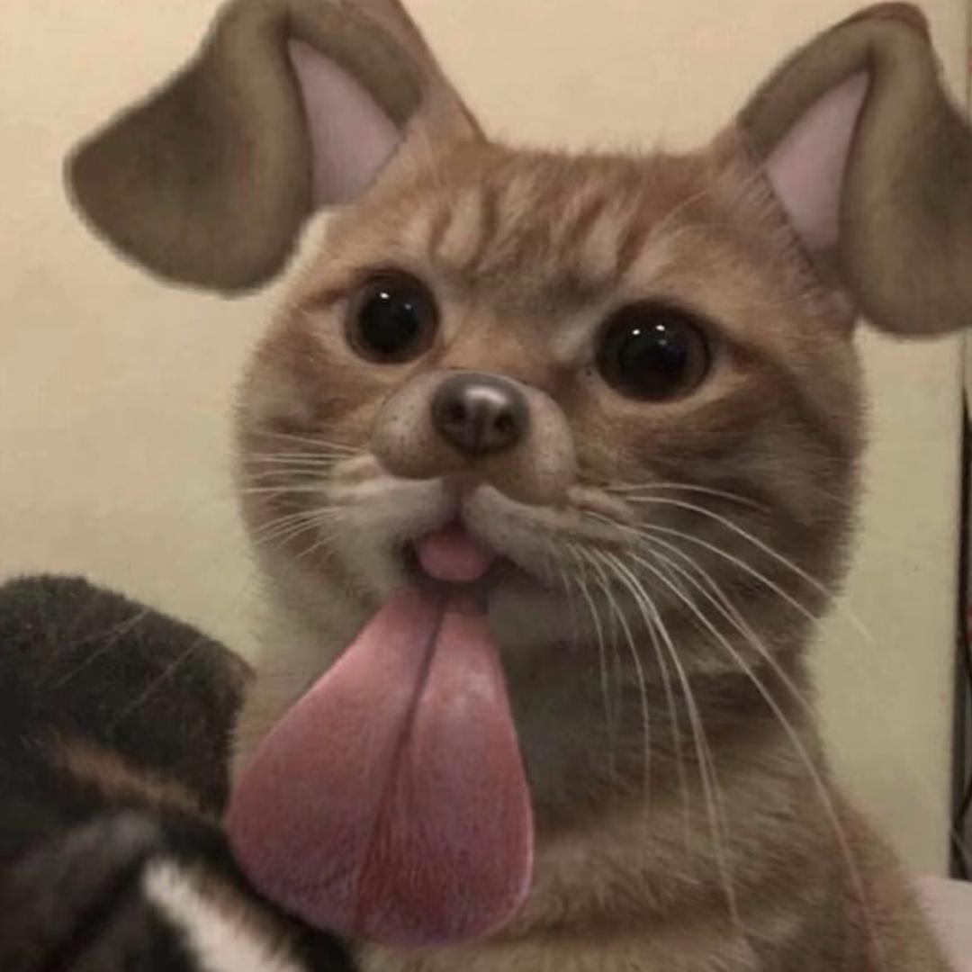 悦子^^