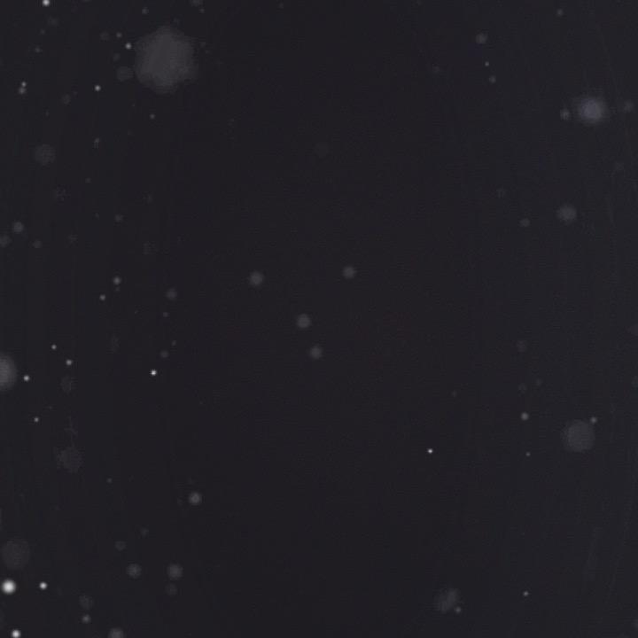 五