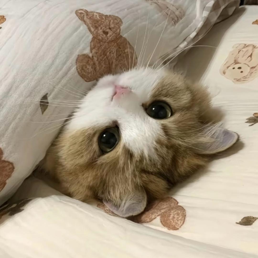 小宁的日常(o^^o)