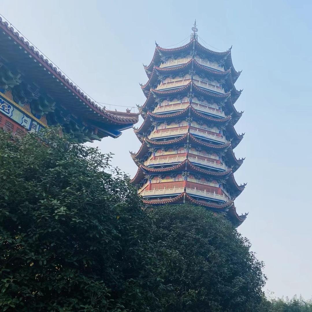 @大丽👑