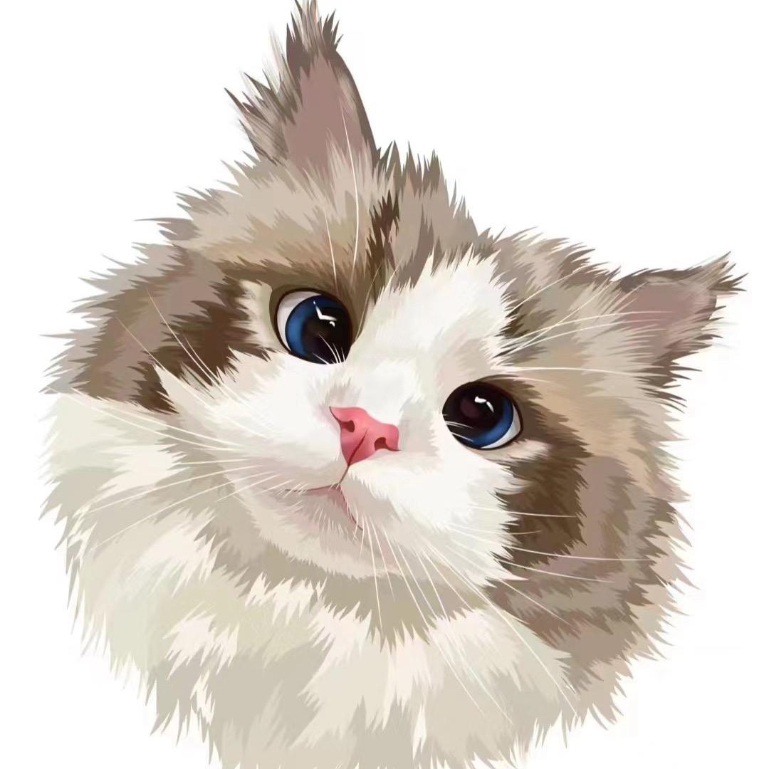 🌈是你的上上签啦