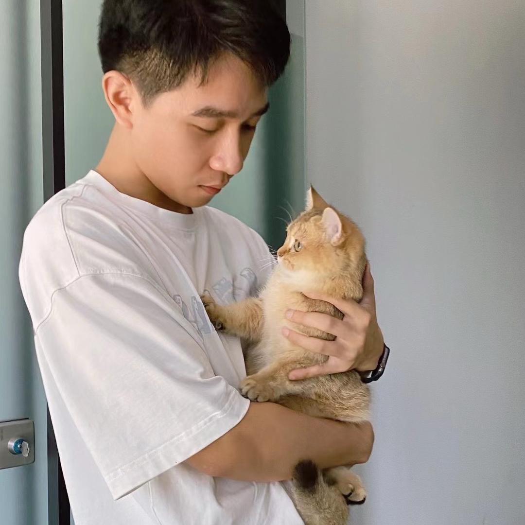 峻羽拾木猫舍