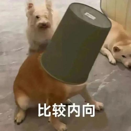 啊寻（三角洲行动）
