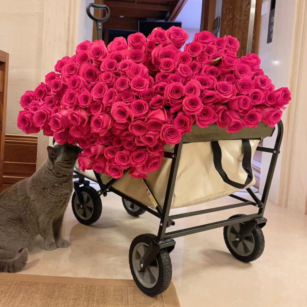大聪明卖花