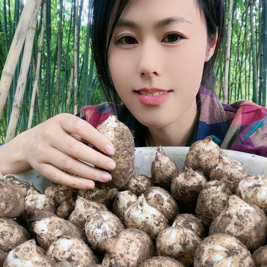 红姐家昭通小草坝乌天麻