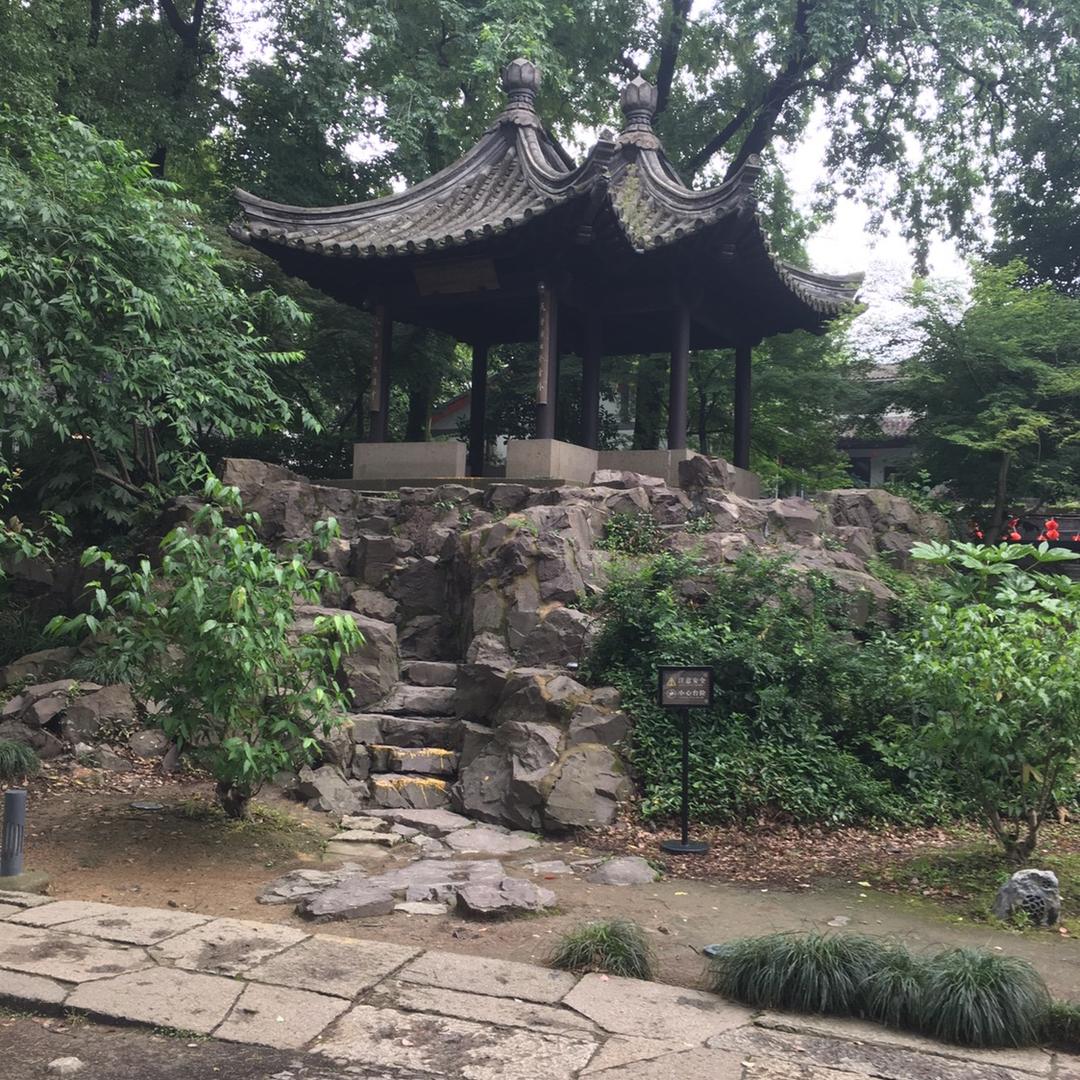 开心鼠