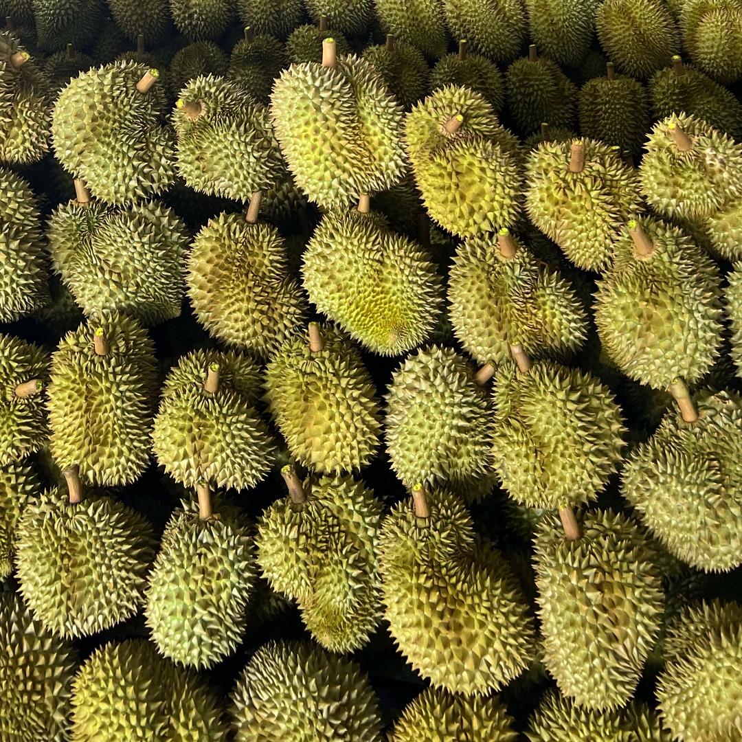 泰魁鲜果上海小时达