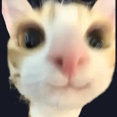 时间