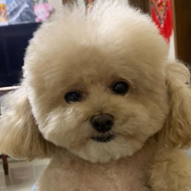 淡定从容