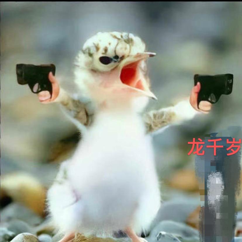 壹吨半🟰叁千金