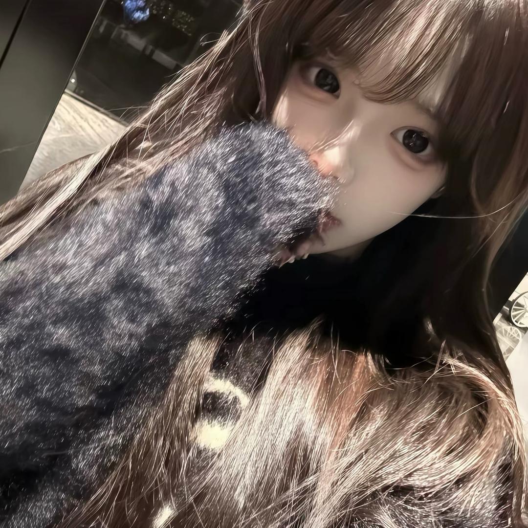 小猫崽🐱