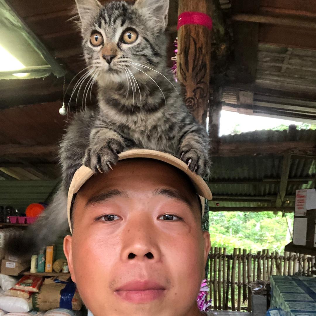 半只狐狸🦊