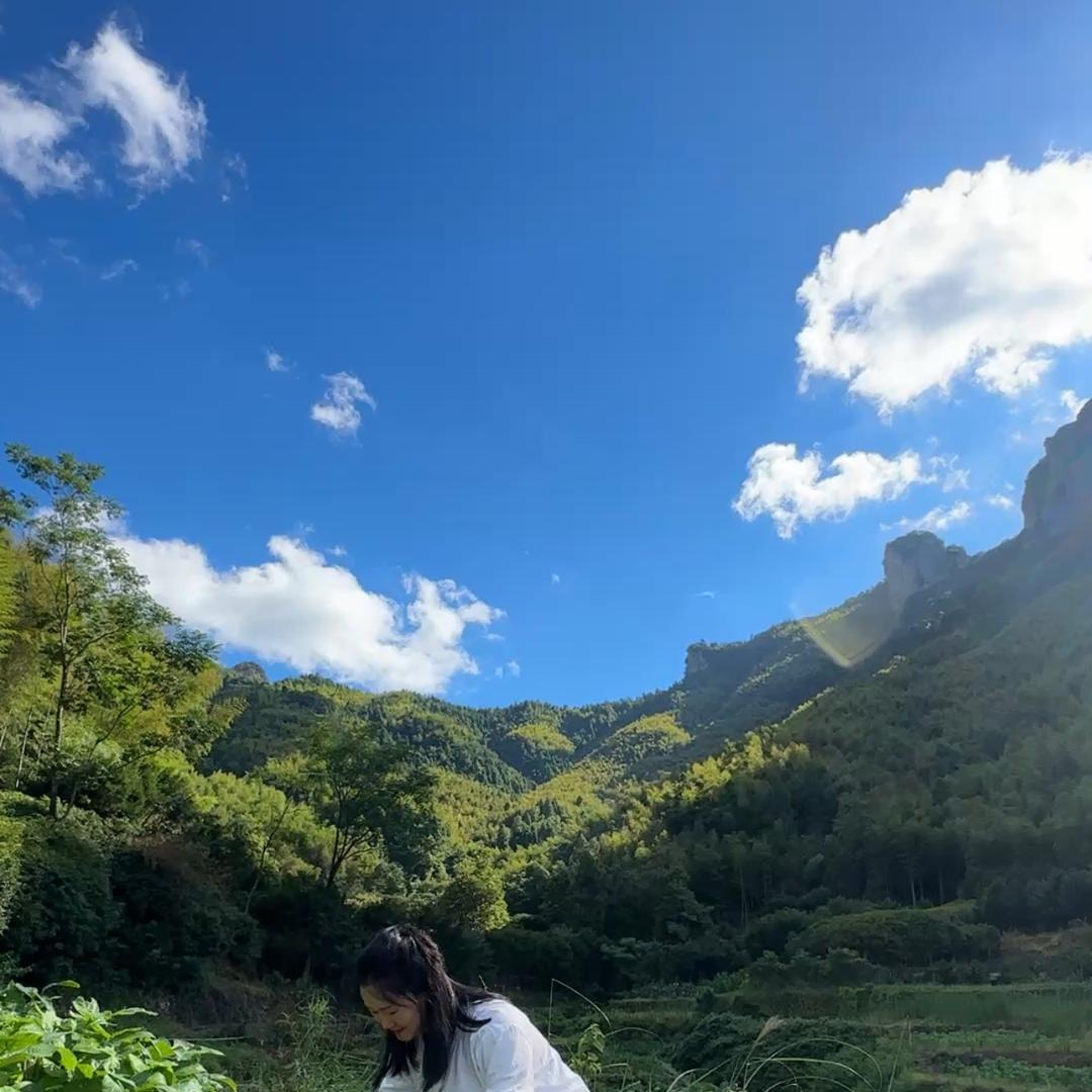 雁溪青岚