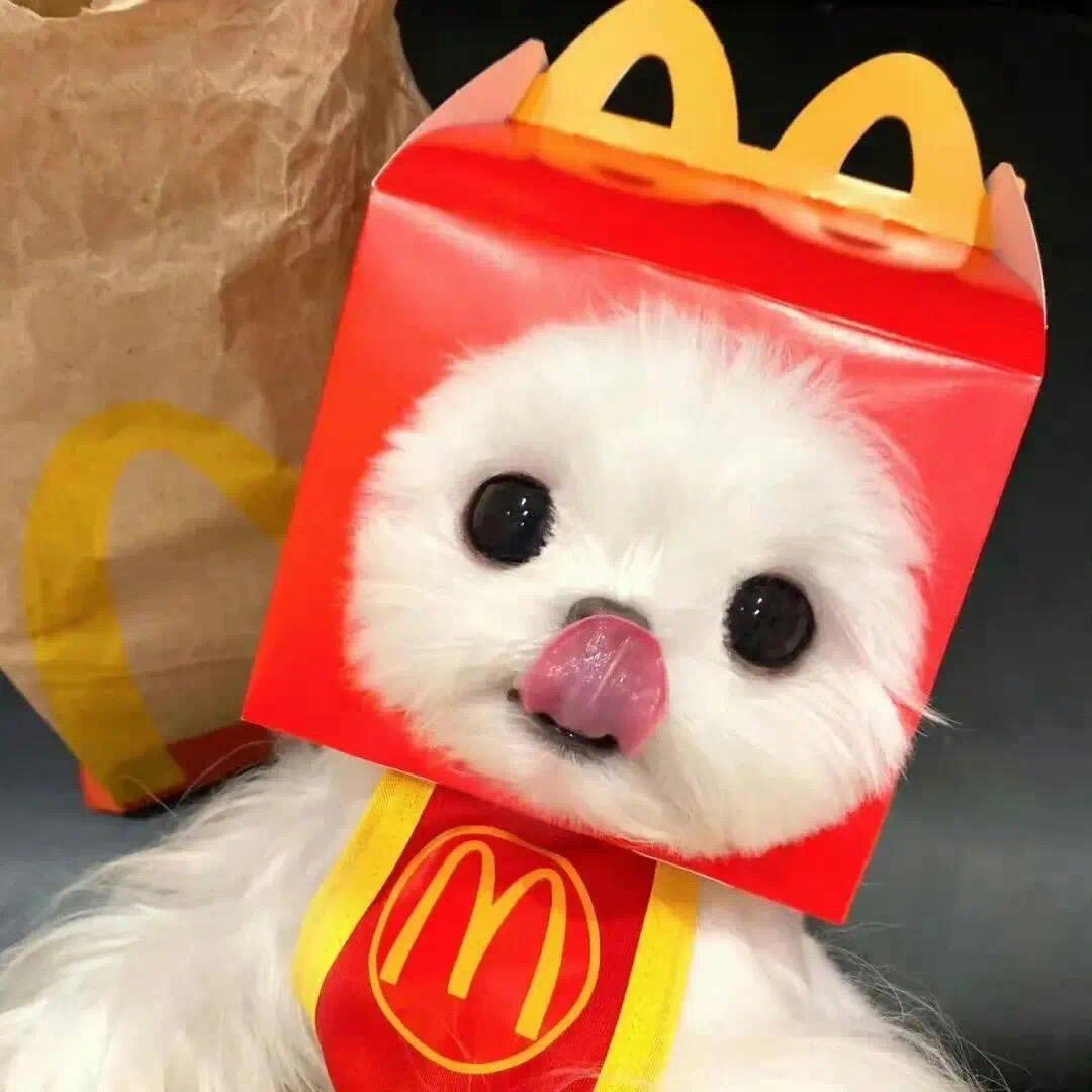 啊偶