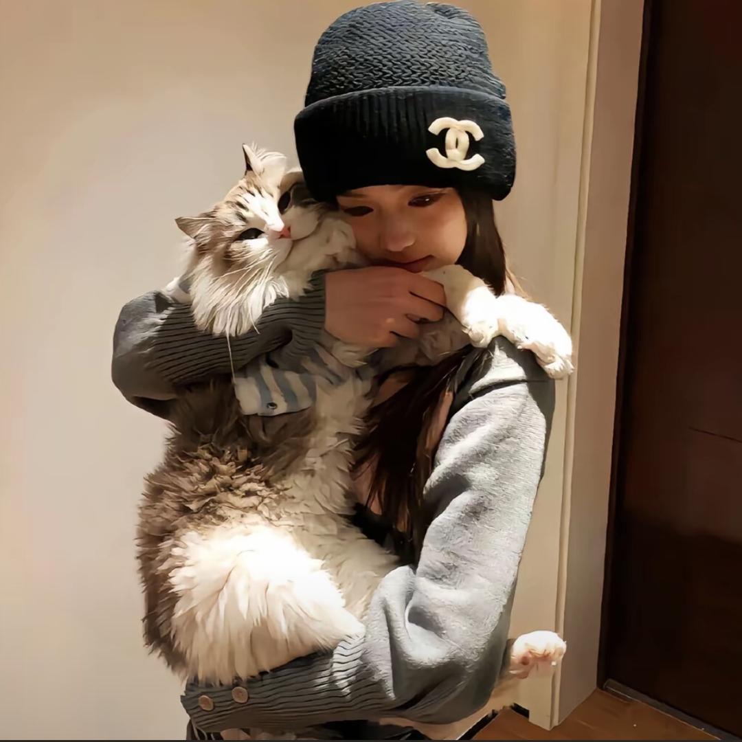 脆脆鲨^^