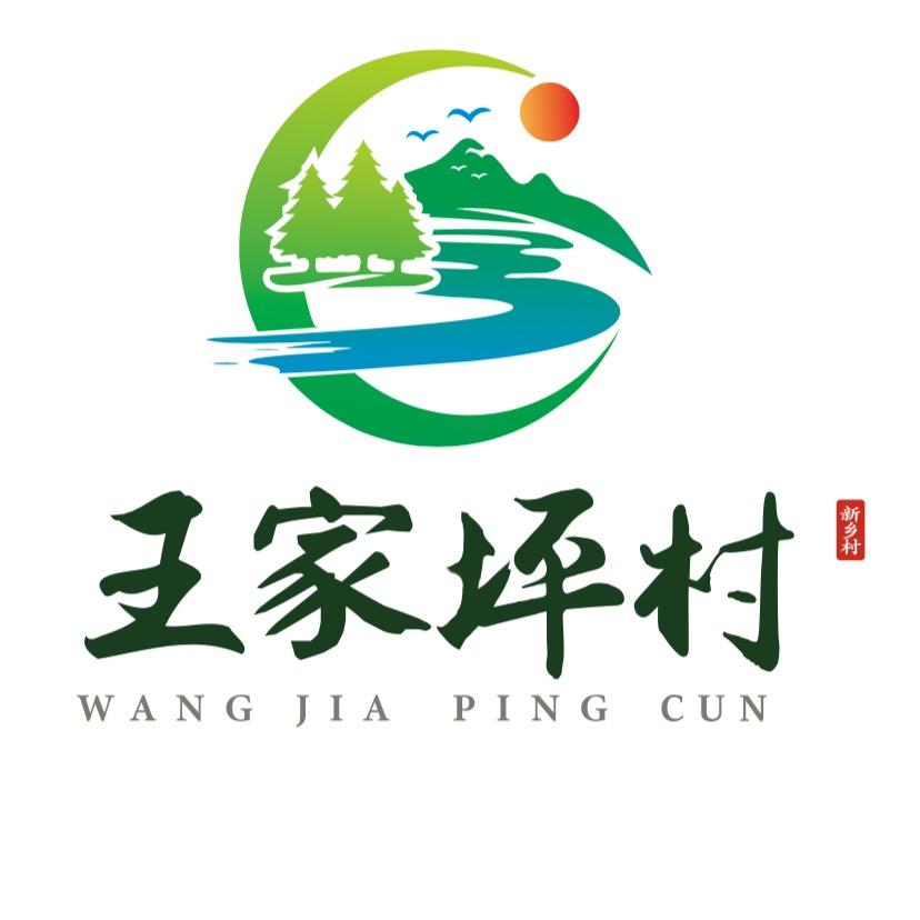 王家坪村邓书记(村光大道)