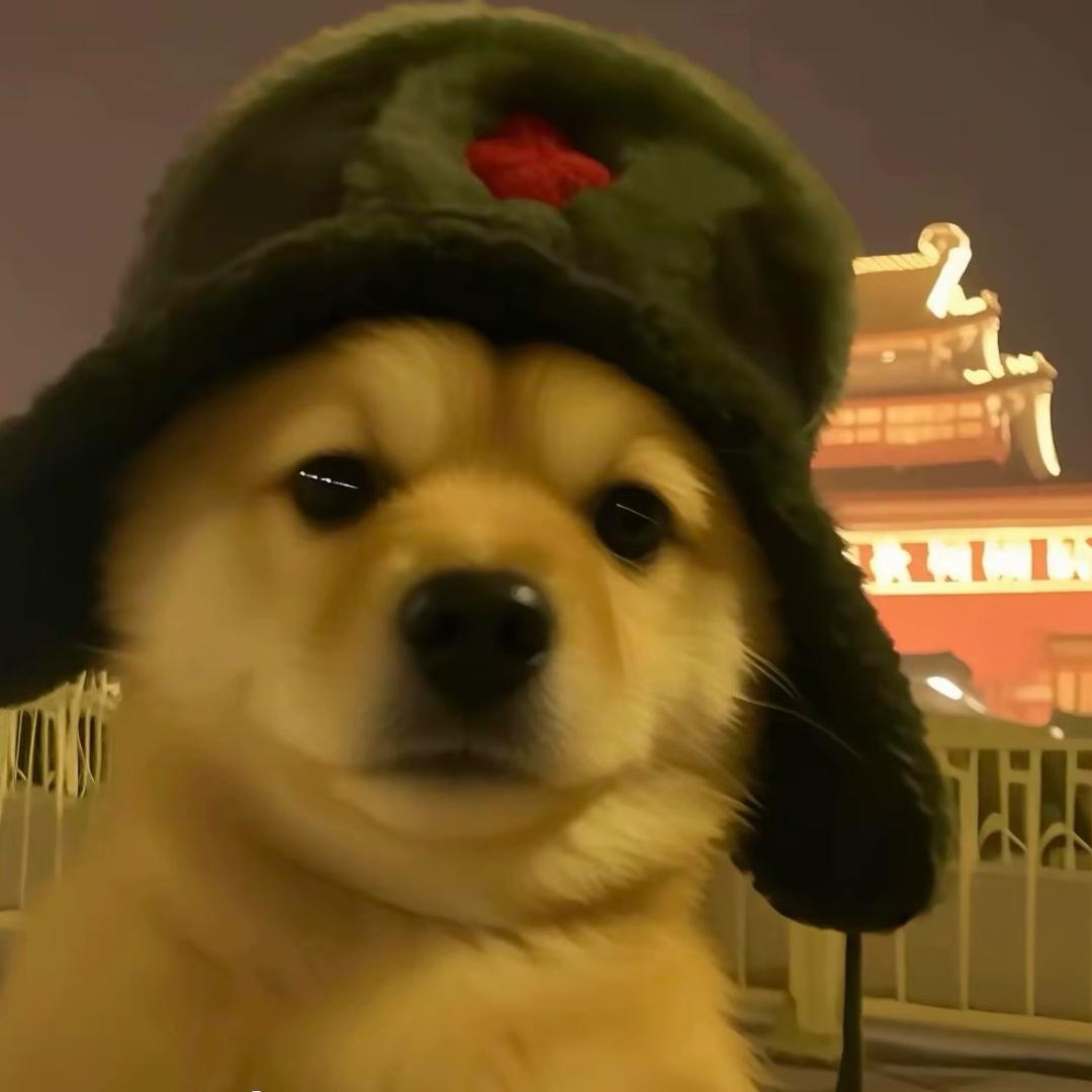矢五