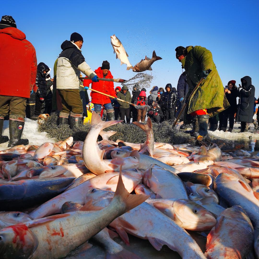 查干湖企业店授权号